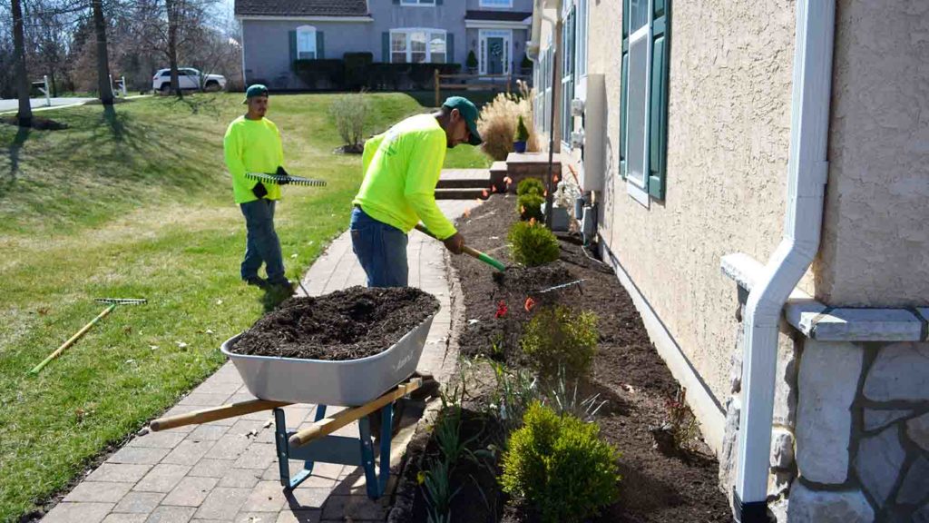 Green Lupus Solutions team at work